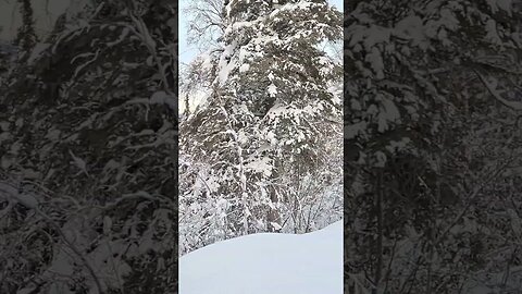 Alaska Winter ❄️
