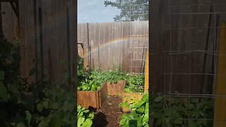 miniature rainbow