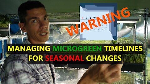 Managing Changing Timelines with Seasonal Changes for Growing Microgreens