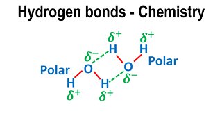 Hydrogen bonds, dipole-dipole forces, intermolecular - Chemistry