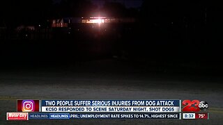 Two people suffer serious injuries from dog attack