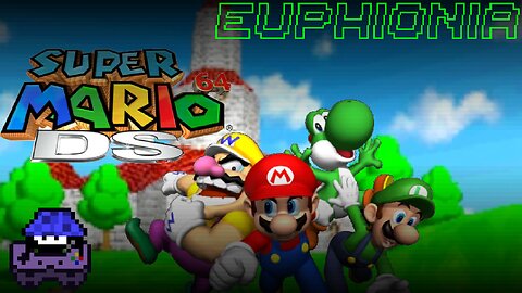 Wario & Luigi Are Missing | Super Mario 64 DS