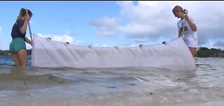 Day in the life of Indian River Lagoon