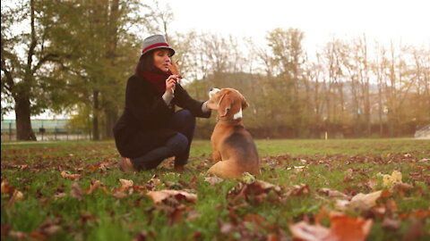 A Woman Teasing Her Pet Dog.