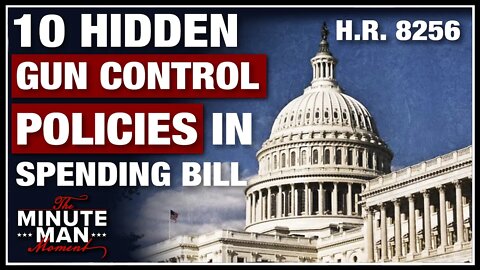 GOA Uncovers Hidden Gun Control in Spending Bill!