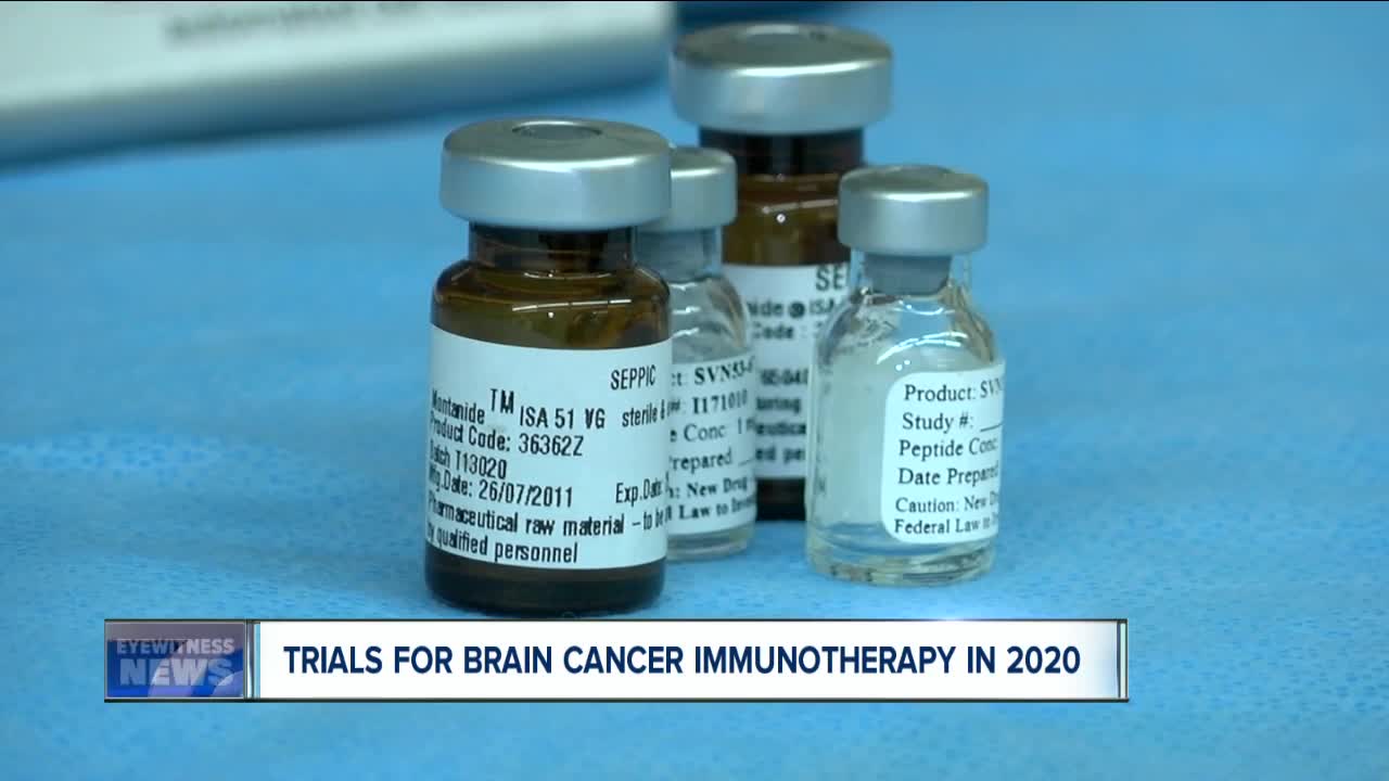 Brain cancer immunotherapy developed at Roswell Park set for clinical trials next year