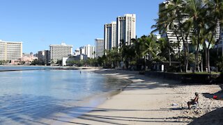 Vaccinated Hawaiian positive for delta variant after traveling to Nevada