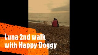 Luna 2nd walk with Happy Doggy