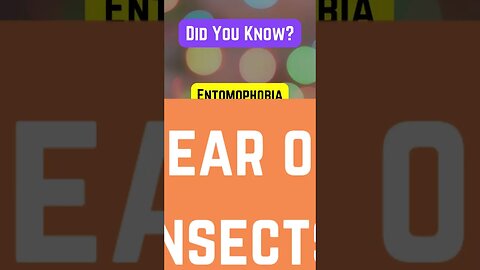 Face your Entomophobia!