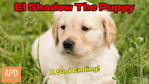 El Shadow The Puppy - A Sad Ending