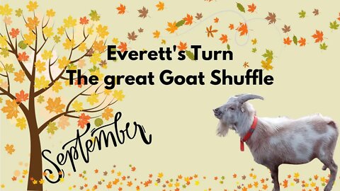Everetts Turn The great Goat Shuffle
