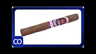 Bodega Reunion Digestivo Maduro Corona Gorda Cigar Review