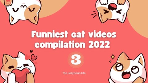 Funniest Cat Videos Compilation 2022😺 | Cats Can Make you Laugh within Minutes😹 | Part 3