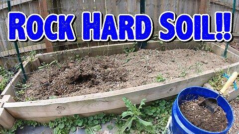 Rock Hard Garden Soil!