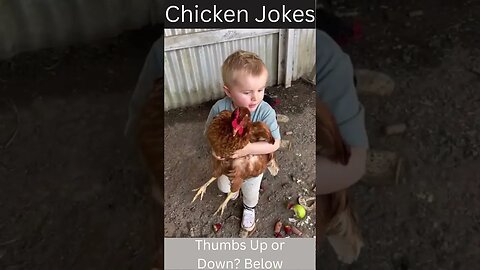 tiktok shorts compilation Why are Chickens so funny?