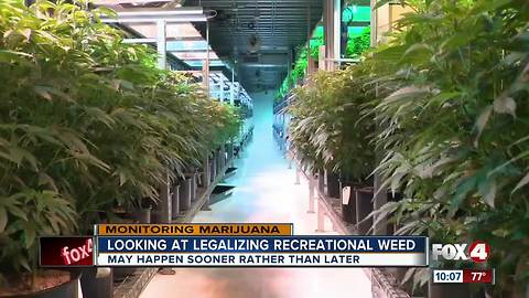 Recreational marijuana could be on the horizon