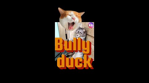 Bully duck