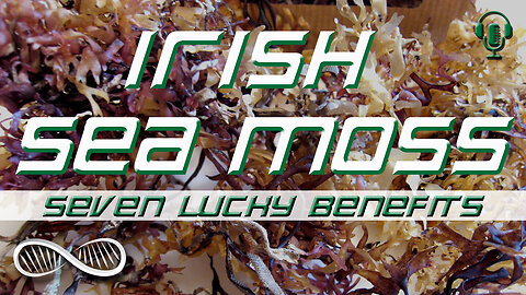 Seven Lucky Benefits of Irish Sea Moss ☘️ It might make you a lusty leprechaun!