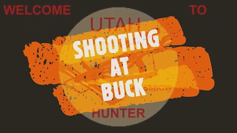SHOOTING AT BUCK