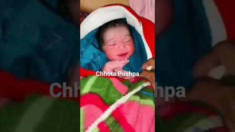 chhota pushpa #pushpa #chhotapushpa #mrnirajkumarhacker