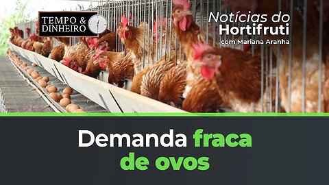 Demanda enfraquecida de ovos. Importação valoriza preço do melão no RN