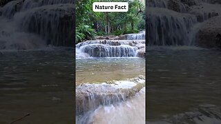 Nature Fact about Mae Kai Waterfall in Thailand #shorts #4knature