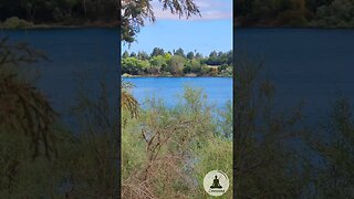 Quarry Lakes Regional Park - A Calming Oasis in the Bay Area