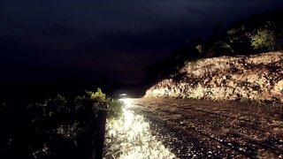 DiRT Rally 2 - RallyHOLiC 11 - New Zealand Event - Stage 5 Replay