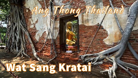 Overgrown Banyan Temple - Wat Sang Kratai - Ang Thong Thailand 2023