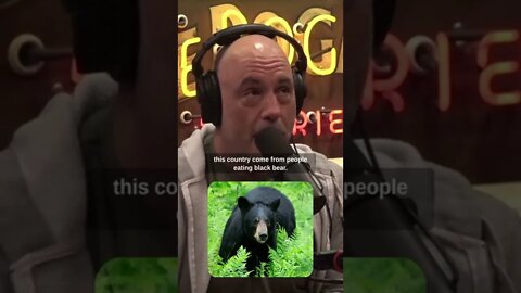 Joe and black Bears