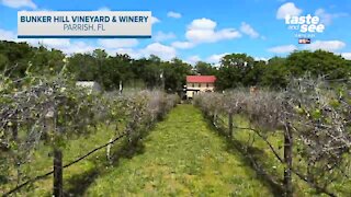 Bunker Hill Vineyard & Winery in Parrish, FL | Giant Adventure