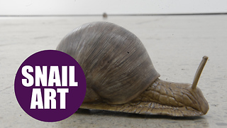 Mechanical SNAILS crawl around the floor at art gallery