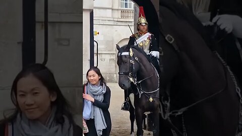 beautiful horse #horseguardsparade