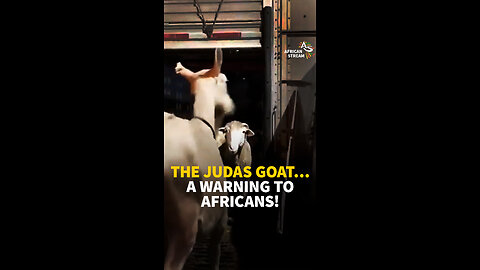 THE JUDAS GOAT…A WARNING TO AFRICANS!