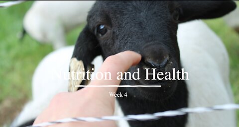 Week 4 (Nutrition and Health