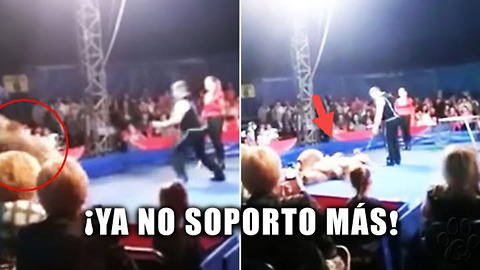 Oso no soporto más el maltrato y saltó hacia los espectadores en plena función de circo