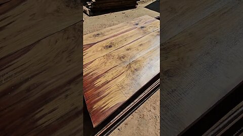 Beautiful Figured Black Walnut Hardwood Slabs #short #shorts #wickedwoodsnwllc #wood #woodworking