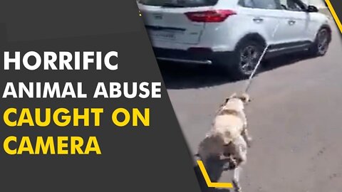 Dog Viral Video Stray Dog Tied to a Car Dragged in Driver Held