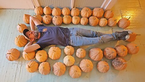 We accidentally grew WAY more pumpkins than we planted