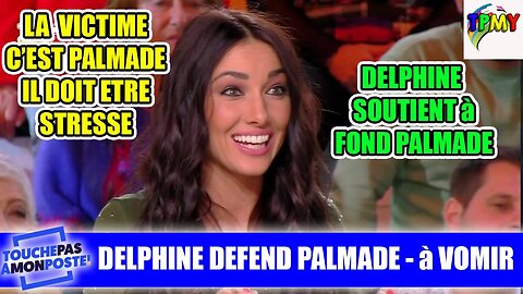 AFFAIRE PIERRE PALMADE: DELPHINE WESPISER LE DEFEND sur TPMP #karlzero #révélations #hanouna #Verdez