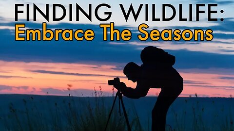 Finding Wildlife - Embracing each season in Wildlife Photography