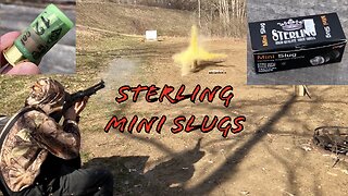 Are Sterling Mini Slugs Any Good?