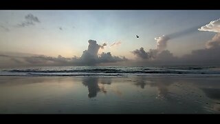 Morning at the Beach #fernandinabeach #florida