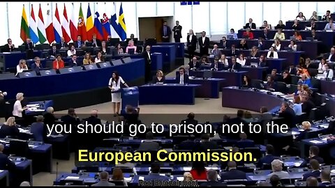 Polish MEP Speech Destroys Criminal EU Chief Ursula von der Leyen in EU Parliament