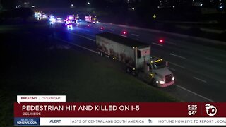 Pedestrian hit and killed by semi