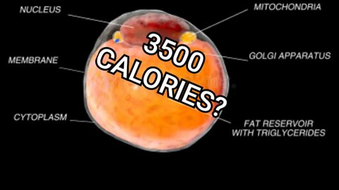 3500 Calories in a Pound of Body Fat. Yes and NO