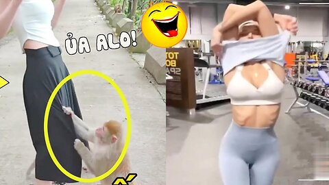 Funny Moments Of The Week / Funny Fails / Funny Videos Compilation