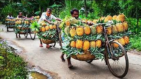 Pineapple Production Processing Factory - Pineapple Juice,Canned Pineapple - How to make Grape syrup