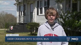 Deer crashes through school bus windshield, lands on sleeping student