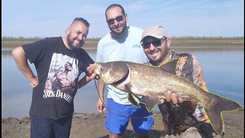 Out for Silver Carp On Telish - За Толстолоб на Телиш